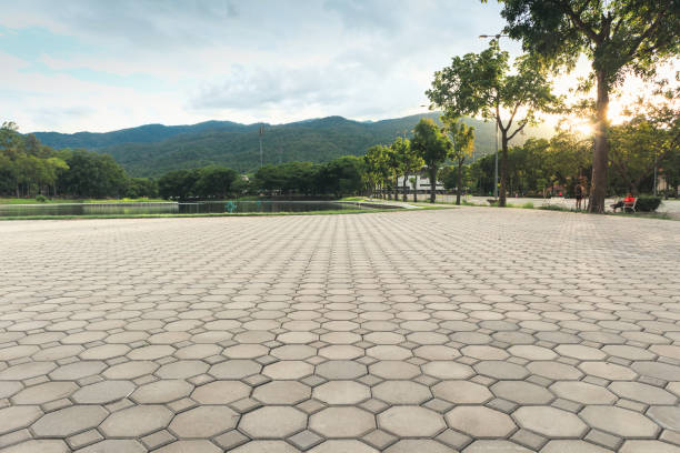Best Driveway Pavers Near Me  in Steele, MO